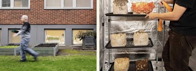 Grafisk bild för Live från labbet