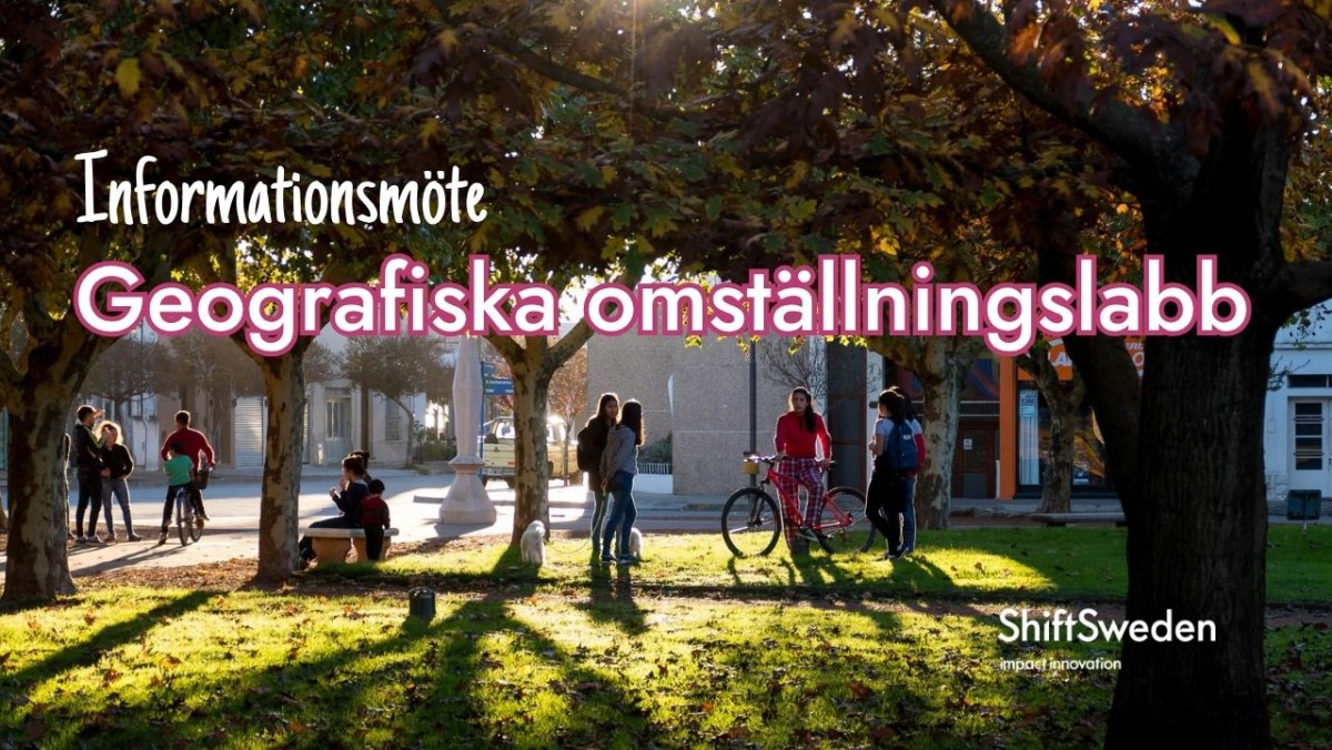 Personer träffas och pratar under ett par träd, solen lyser in mellan träden. Några hundar står och väntar, en person cyklar iväg