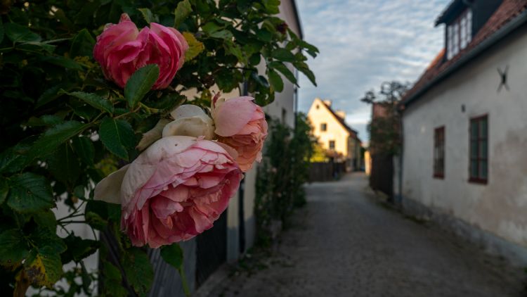Visby